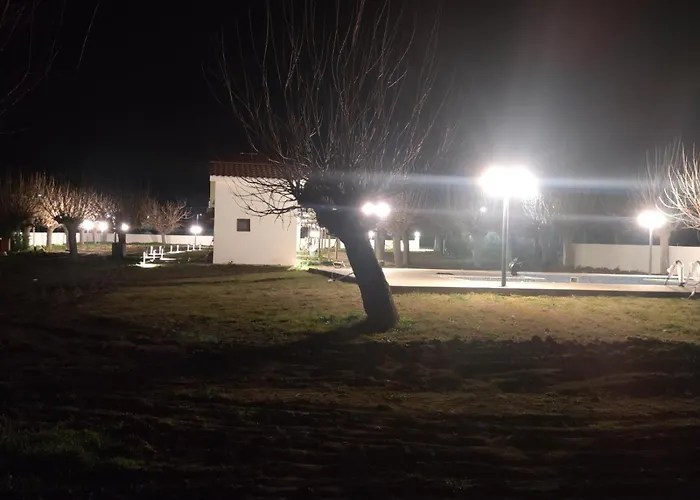 Daire Elli S Onar Sykia